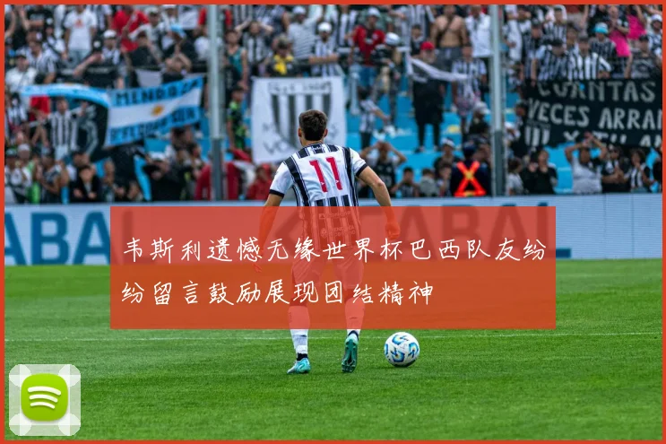韦斯利遗憾无缘世界杯巴西队友纷纷留言鼓励展现团结精神